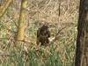 2011-04-16_subotnik_gruppe-013-gw-th.jpg