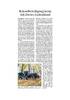 Ostseezeitung