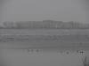 2009-03-29_200_Prohner_Fruehlingslauf-th.jpg