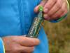 2009-10-11_255_staffellauf_dierhagen-th.jpg