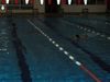 2012-10-02_009_schwimmlager_VEVE-th.jpg