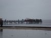 2013-01-01_050_besuch_bei_den_eisbadern_BK-th.jpg