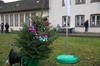 2013-12-01_nikolauslauf_008-th.jpg