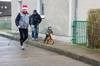 2013-12-01_nikolauslauf_031-th.jpg