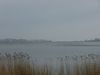 2014-04-06_022_prohner_fruehjahrslauf_BK-th.jpg