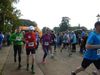 2015-09-12_19_kranichlauf-th.jpg