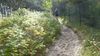 2015-10-03_aquamarislauf_040_DF-th.jpg