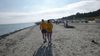 2015-10-03_aquamarislauf_042_DF-th.jpg
