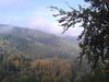 2015-10-10_harzgebirgslauf_009-th.jpg