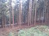 2015-10-10_harzgebirgslauf_012-th.jpg