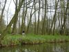2016-04-15_Spreewald_004_DF-th.jpg