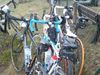 2016-04-16_Spreewald_007_KB-th.jpg