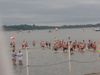 2016-07-02_sundschwimmen_019_RS-th.jpg