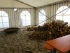 2016-10-01_kap-arkona-lauf_007_BK-th.jpg