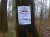 2016-12-31_silvesterlauf_099_BK-th.jpg