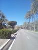 2017-03-19_123845_Malle_TB-th.jpg