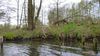 2017-04-21_spreewald_006_DF-th.jpg