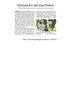 Ostsee-Zeitung