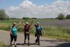 2017-06-10_der_kleine_ostseeweg_042-th.jpg