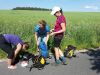 2017-06-10_der_kleine_ostseeweg_047-th.jpg
