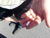 2017-06-10_der_kleine_ostseeweg_048-th.jpg