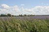 2017-06-10_der_kleine_ostseeweg_071-th.jpg