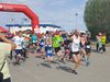 2018-05-19_thiessower_deichlauf_001-th.jpg