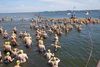 2018-07-07_sundschwimmen_029_FS-th.jpg