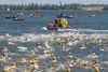 2018-07-07_sundschwimmen_036_FS-th.jpg