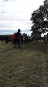2018-09-30_staffelmarathon_dierhagen_017-th.jpg