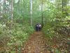 2018-10-03_wanderung_035_BK-th.jpg