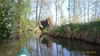 2019-04-26_spreewald_009_DF-th.jpg