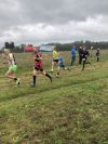 2019-09-29_staffelmarathon_dierhagen_004-th.jpg