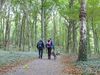 2019-10-03_101344_wanderung_lietzow_BK-th.jpg