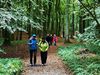 2019-10-03_101634_wanderung_lietzow_KB-th.jpg