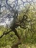 2019-10-03_102958_wanderung_lietzow_BK-th.jpg