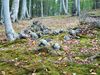 2019-10-03_104706_wanderung_lietzow_KB-th.jpg