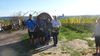 2019-10-12_elbtal-weinlauf_067_DF-th.jpg