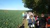 2019-10-12_elbtal-weinlauf_069_DF-th.jpg