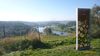 2021-10-09_elbtal-weinlauf_018_DF-th.jpg