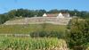 2021-10-09_elbtal-weinlauf_022_DF-th.jpg
